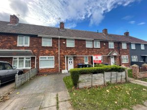 Read more about the article THORNTREE, TS3